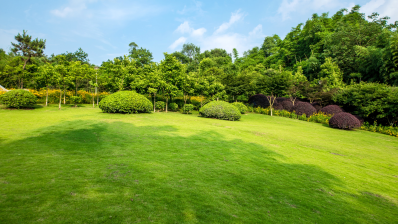 grassland-landscape-greening-environment-park-background