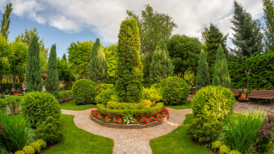 summer-garden-courtyard-bush-lined-path-park